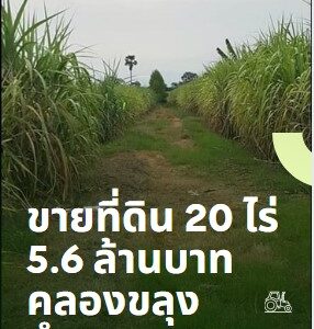 ที่ดินเปล่า 20 ไร่ 5.6 ล้านบาท ต.ท่าพุดทรา อ.คลองขลุง จ.กำแพงเพชร