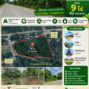 ที่ดินสวนป่า 9 ไร่ 42 ตรว. อ.ชะอำ จ.เพชรบุรี ราคา 6 ล้านบาท