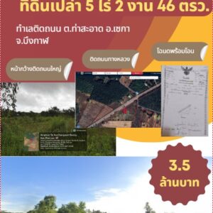 ที่ดินเปล่าติดถนน 5 ไร่ 2 งาน 64 ตรว. ต.ท่าสะอาด อ.เซกา จ.บึงการ