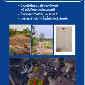 ที่ดินเปล่าติดถนน 2 แปลง ต.ท่าสะอาด อ.เซกา จ.บึงกาฬ